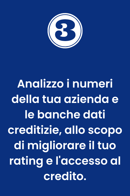 Direttore di Banca in Affitto – Analisi bilancio / centrali rischi / business plan Direttore di Banca in Affitto effettua analisi del bilancio, delle centrali rischi e stesura di business plan per migliorare il rating aziendale